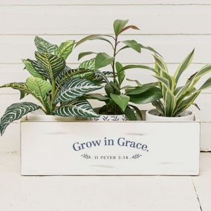 Planter- Grow in Grace